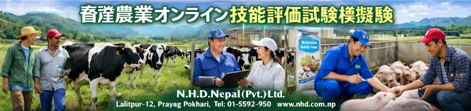 Japanese Lifestyle Banner